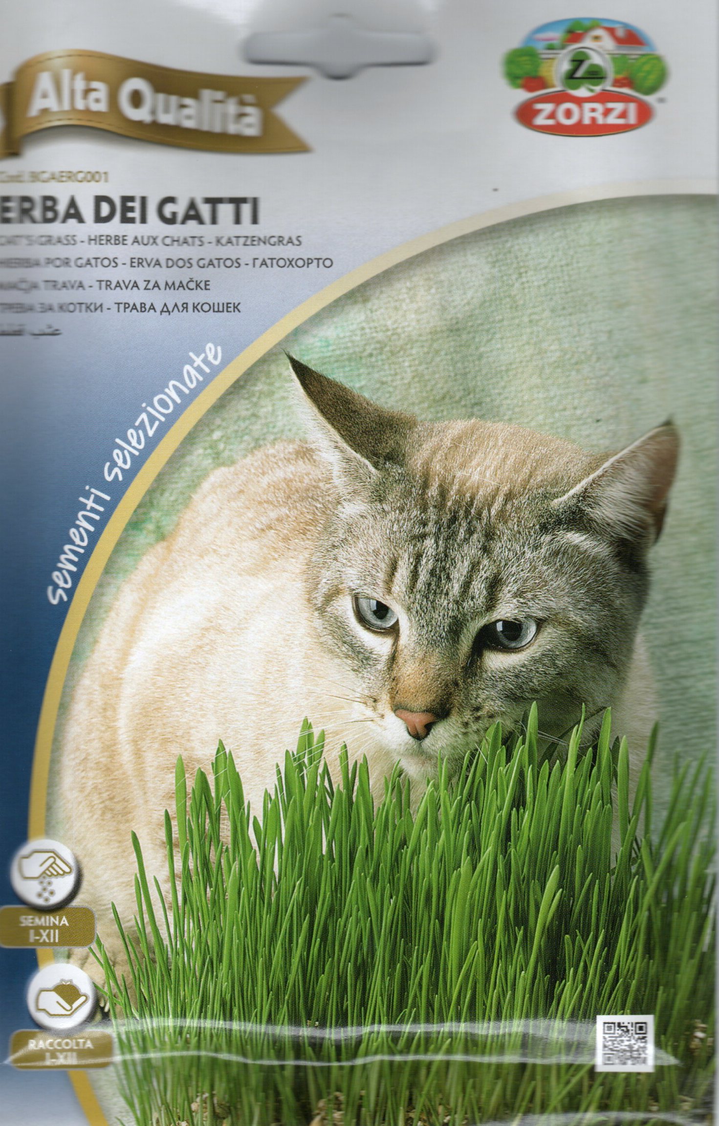 Cat's Grass